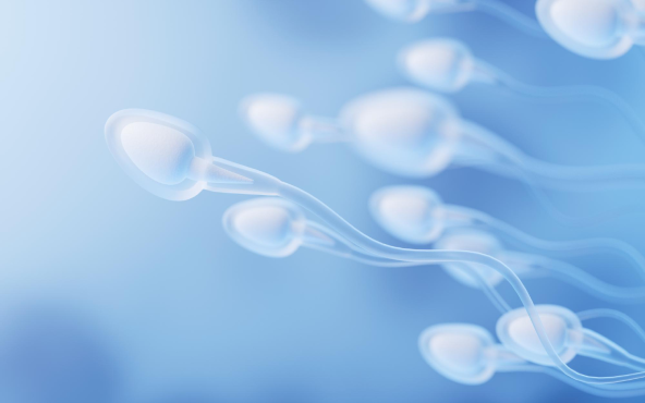 Low Sperm Count