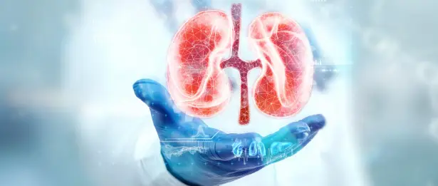 Stem Cell Applications in Urology