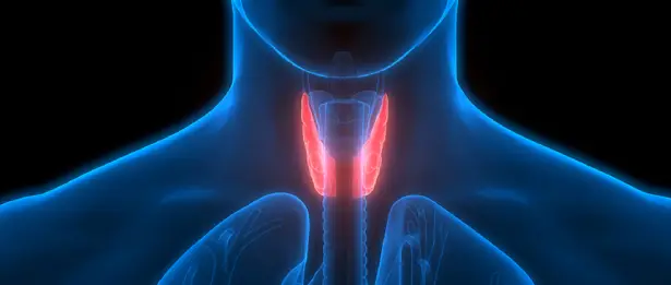 Chirurgie endocrinienne