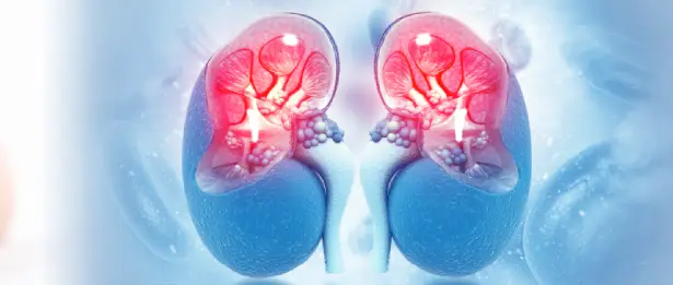 Hydronephrosis Program in Children