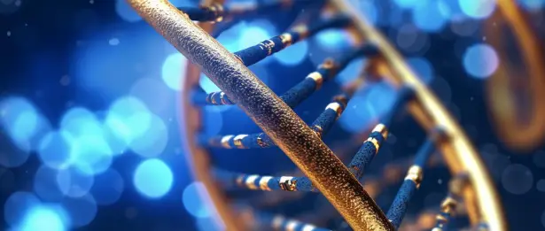 Stem Cell Therapy