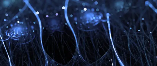 Stem Cell Applications in Neurodegenerative Diseases