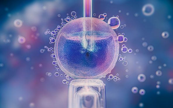 IVF Shots